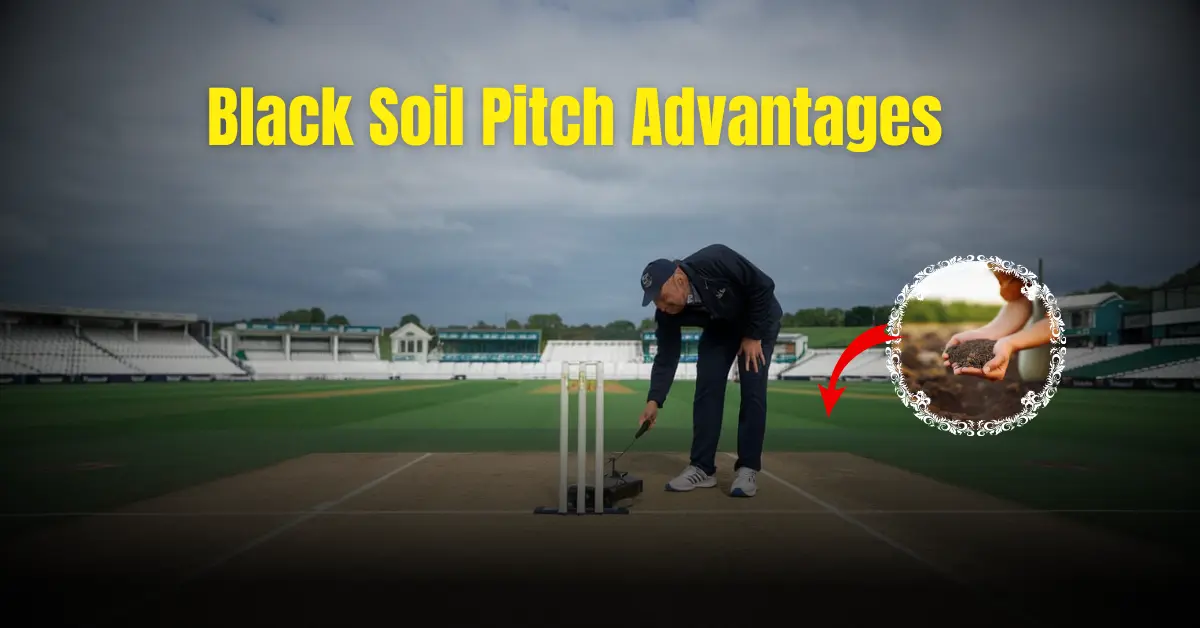 black soil pitch advantages